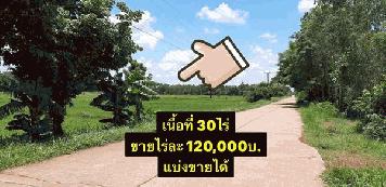 ขายที่ดินเปล่า ต.หนองบัวสิม อ.คำตากล้า จ.สกลนคร 30 ไร่ หมาะสำหรับสร้างบ้านอยู่อาศัย